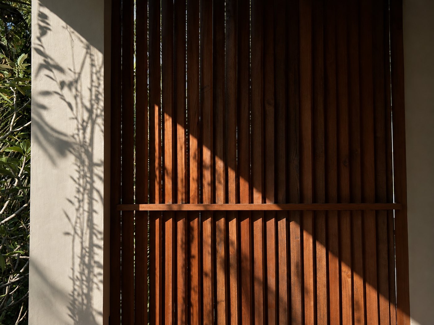 Claustra en teck, ombre de frangipanier, Ubud