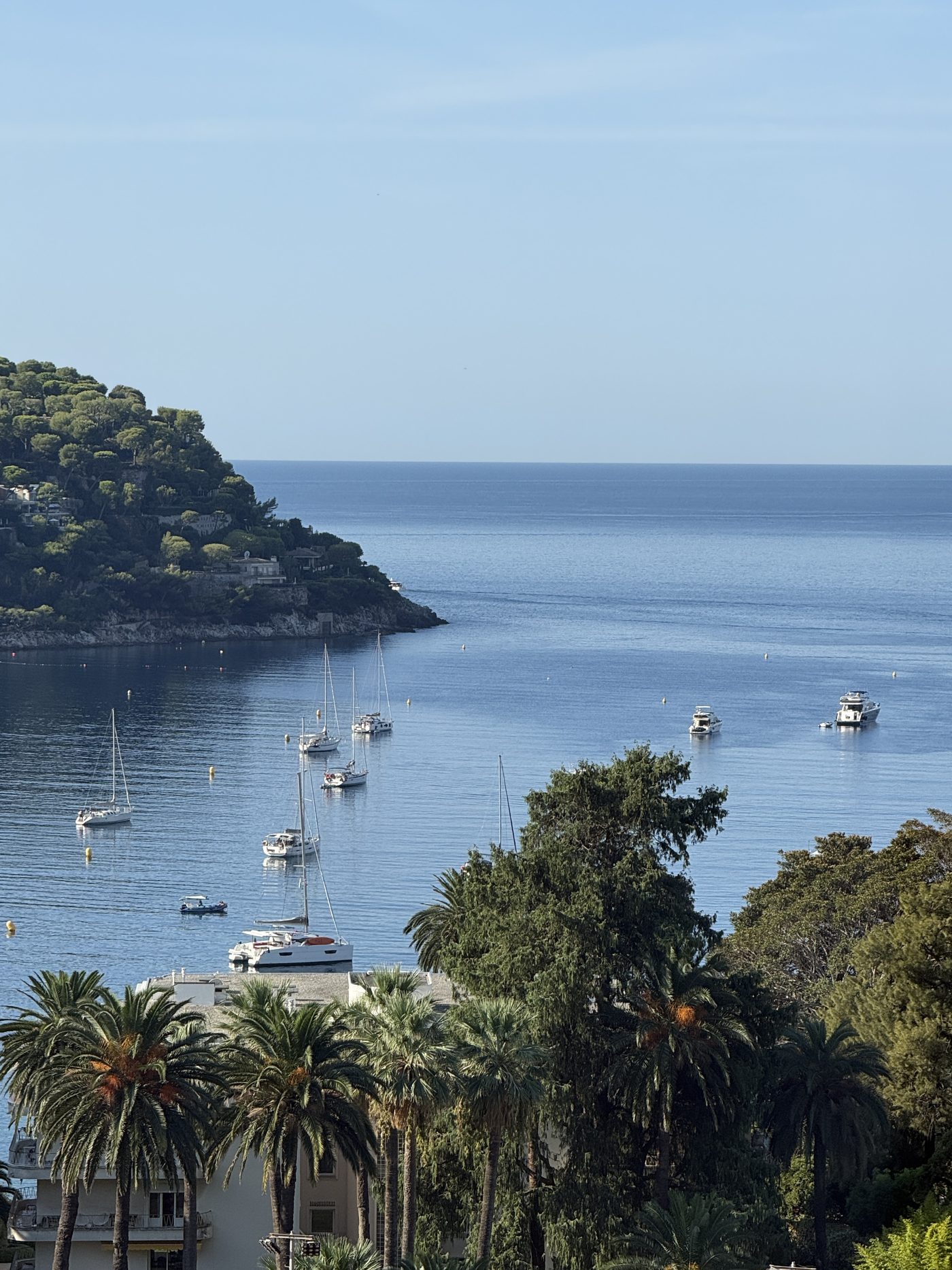 The pinède and the sea view, Cap Ferrat